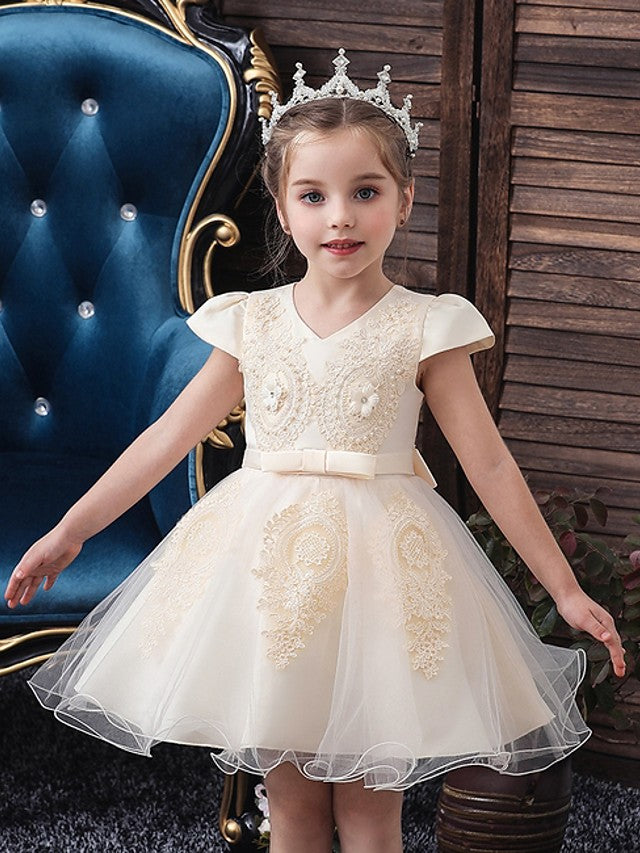 Ball Gown Tulle & Lace V-Neck Flower Girl Dresses with Handmade Flowers