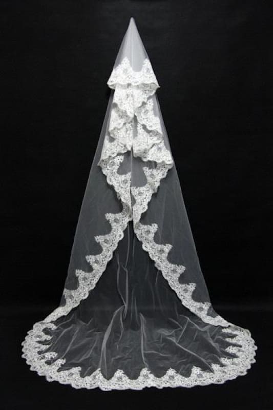 Beautiful Lace Applique Tulle Edge Wedding Veils-Biztunnel