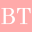 BIZTUNNEL logo
