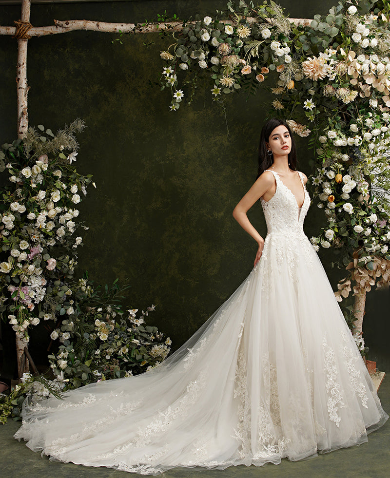 Carregar imagem no visualizador da galeria, Biztunnel Long A-line V-neck Tulle Lace Backless Wedding Dresses-BIZTUNNEL
