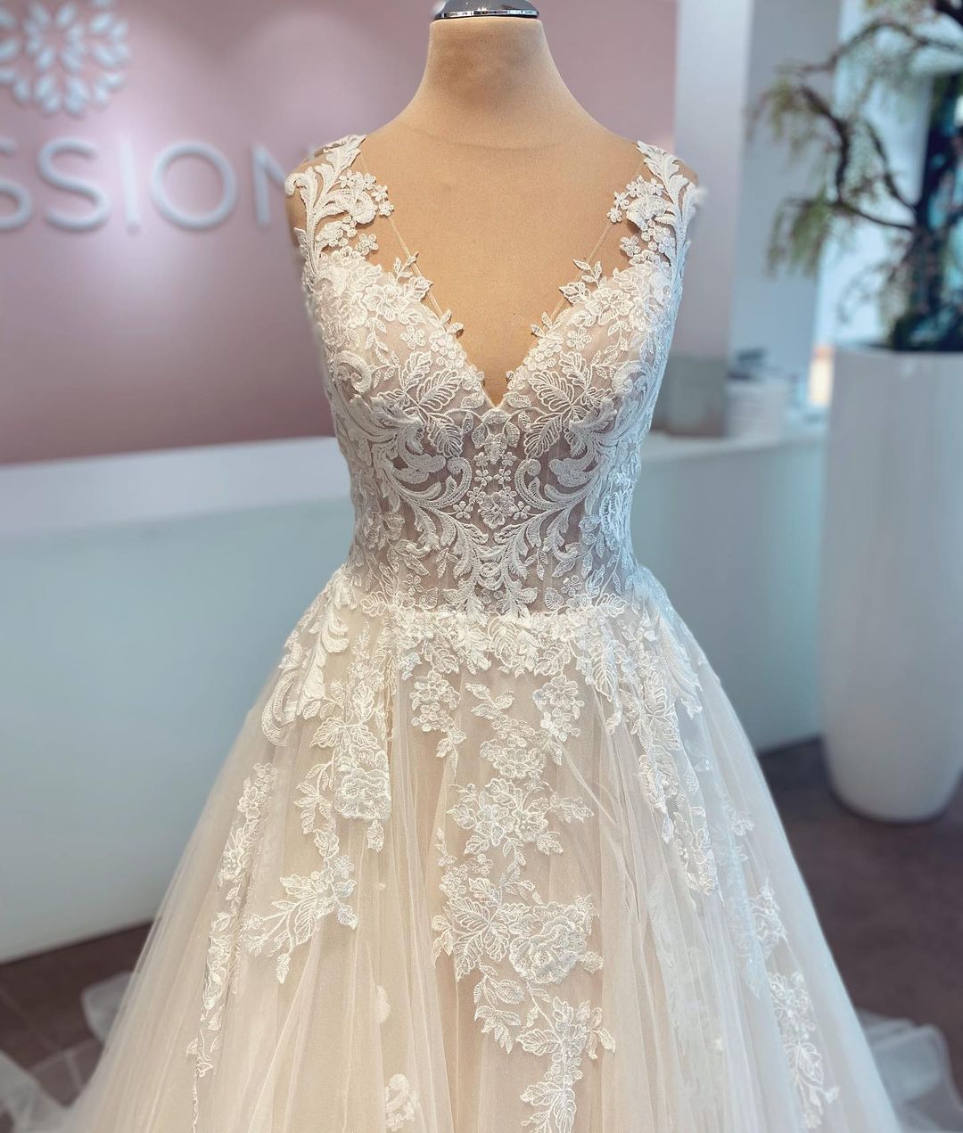 Elegant Long A-line V-neck Tulle Lace Wedding Dress-BIZTUNNEL