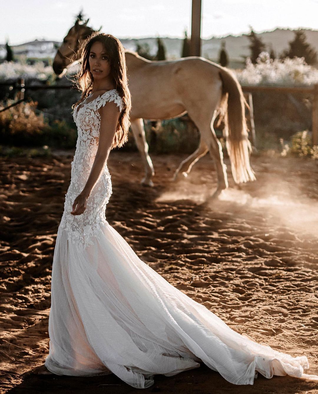 Elegant Long Mermaid Sweetheart Tulle Lace Backless Wedding Dress-BIZTUNNEL